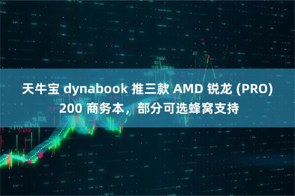 天牛宝 dynabook 推三款 AMD 锐龙 (PRO) 200 商务本，部分可选蜂窝支持