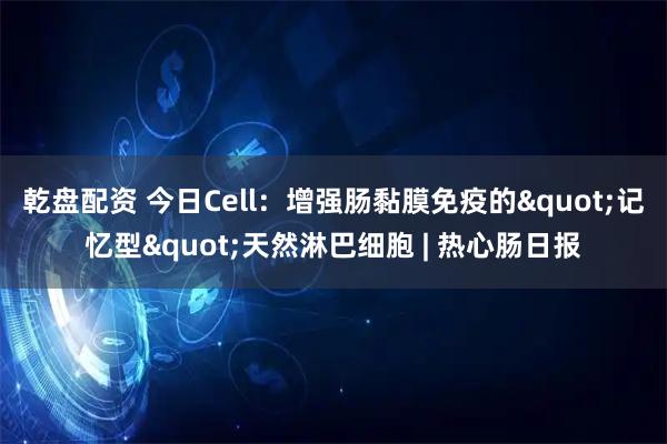 乾盘配资 今日Cell：增强肠黏膜免疫的&quot;记忆型&quot;天然淋巴细胞 | 热心肠日报
