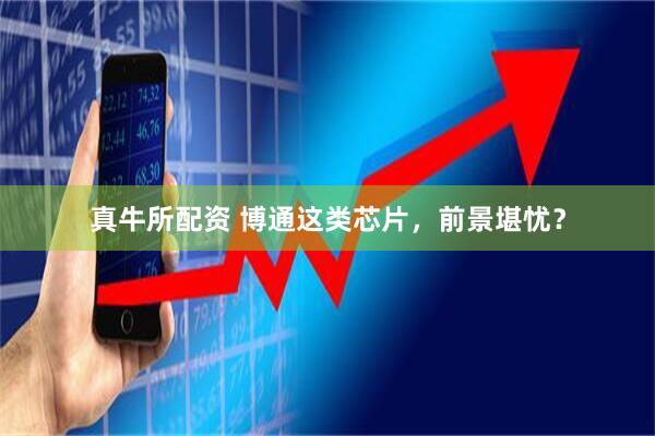 真牛所配资 博通这类芯片，前景堪忧？
