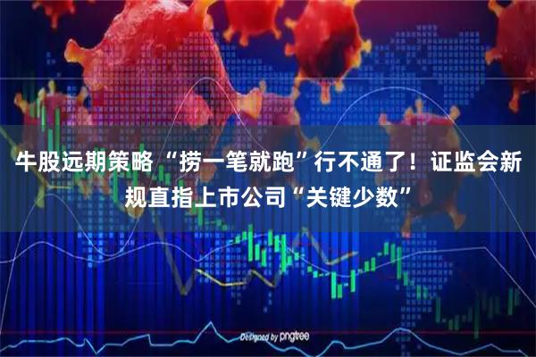 牛股远期策略 “捞一笔就跑”行不通了！证监会新规直指上市公司“关键少数”
